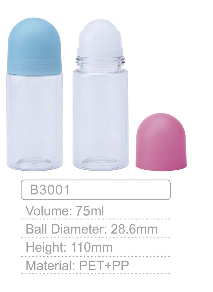 B3001