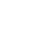 Brand Loyalty
